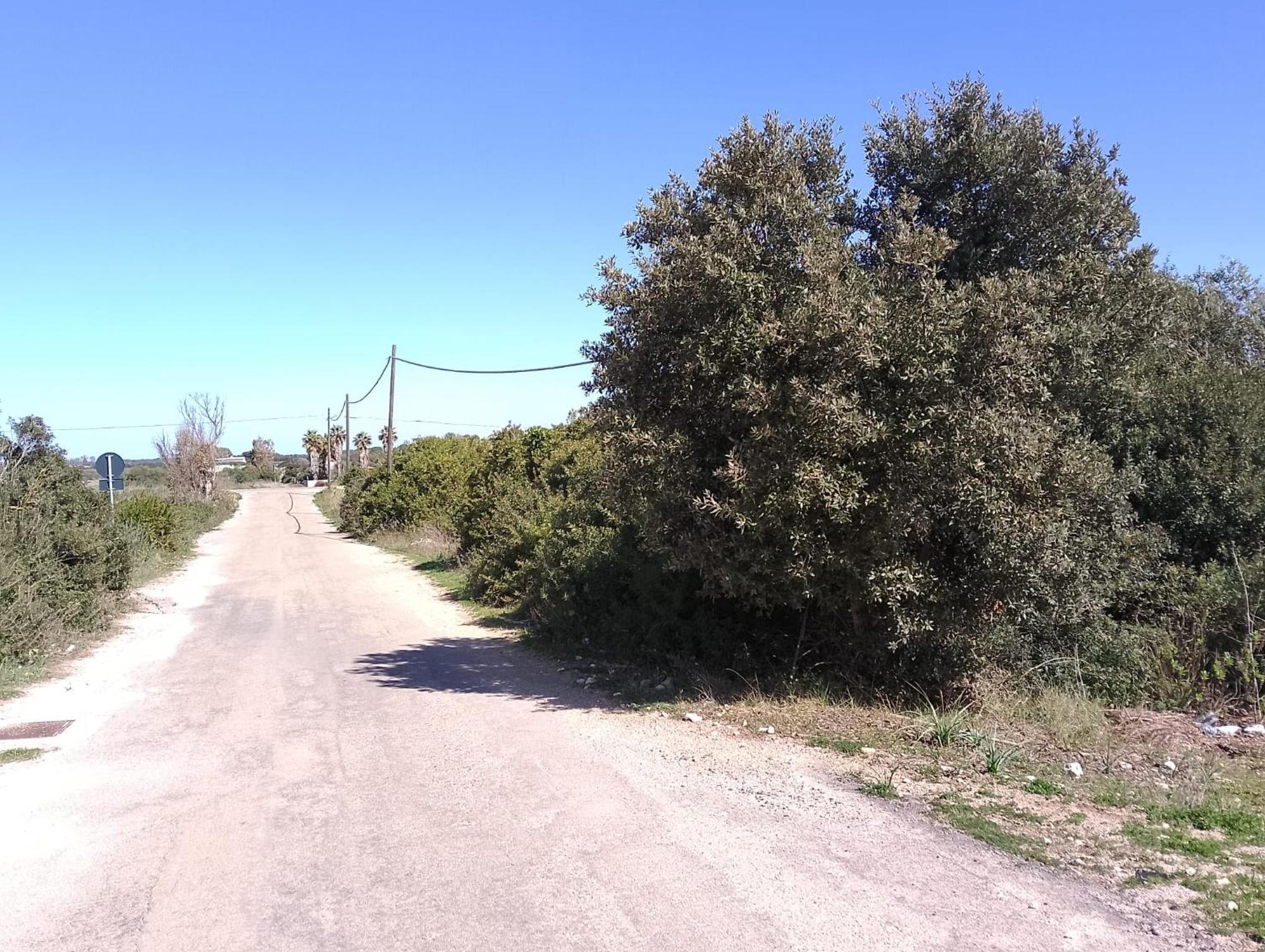 Punta Grossa Apartments By My Home Apulia トッレ・ラピッロ エクステリア 写真